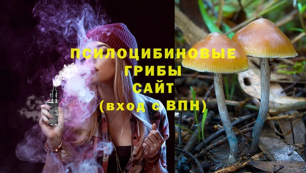 синтетический гашиш Арсеньев