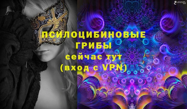 бошки Армянск