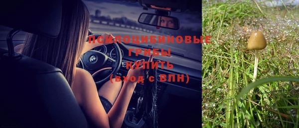 бошки Армянск